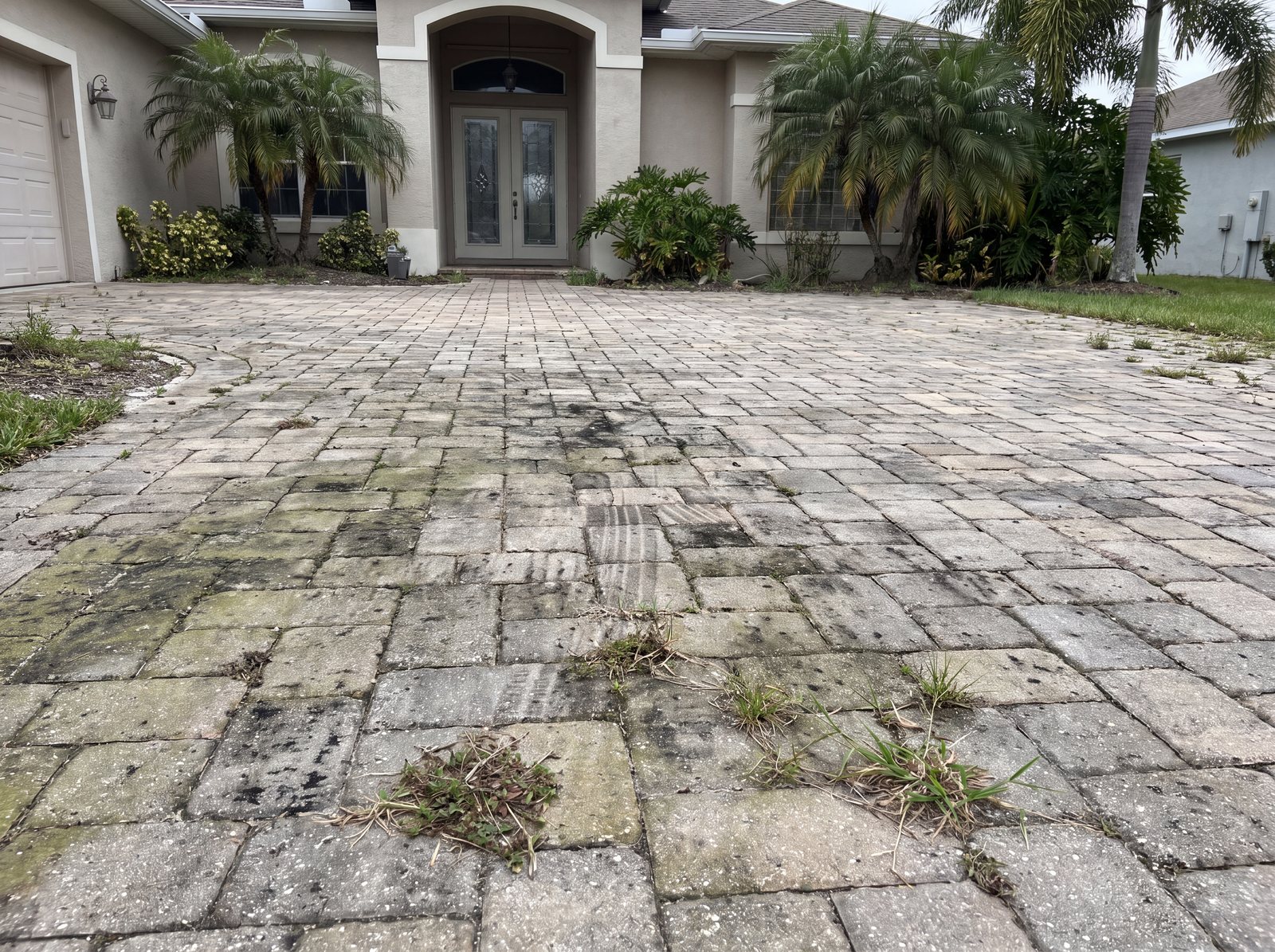 Weathered paver driveway before cleaning and sealing — weeds and mildew stains in Brevard County